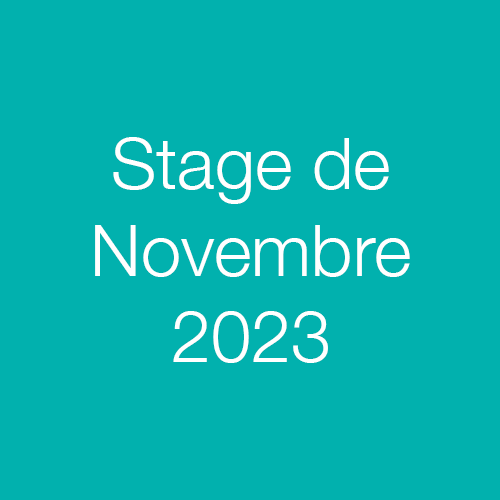 stage_date_novembre